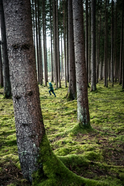the person is running through the forest