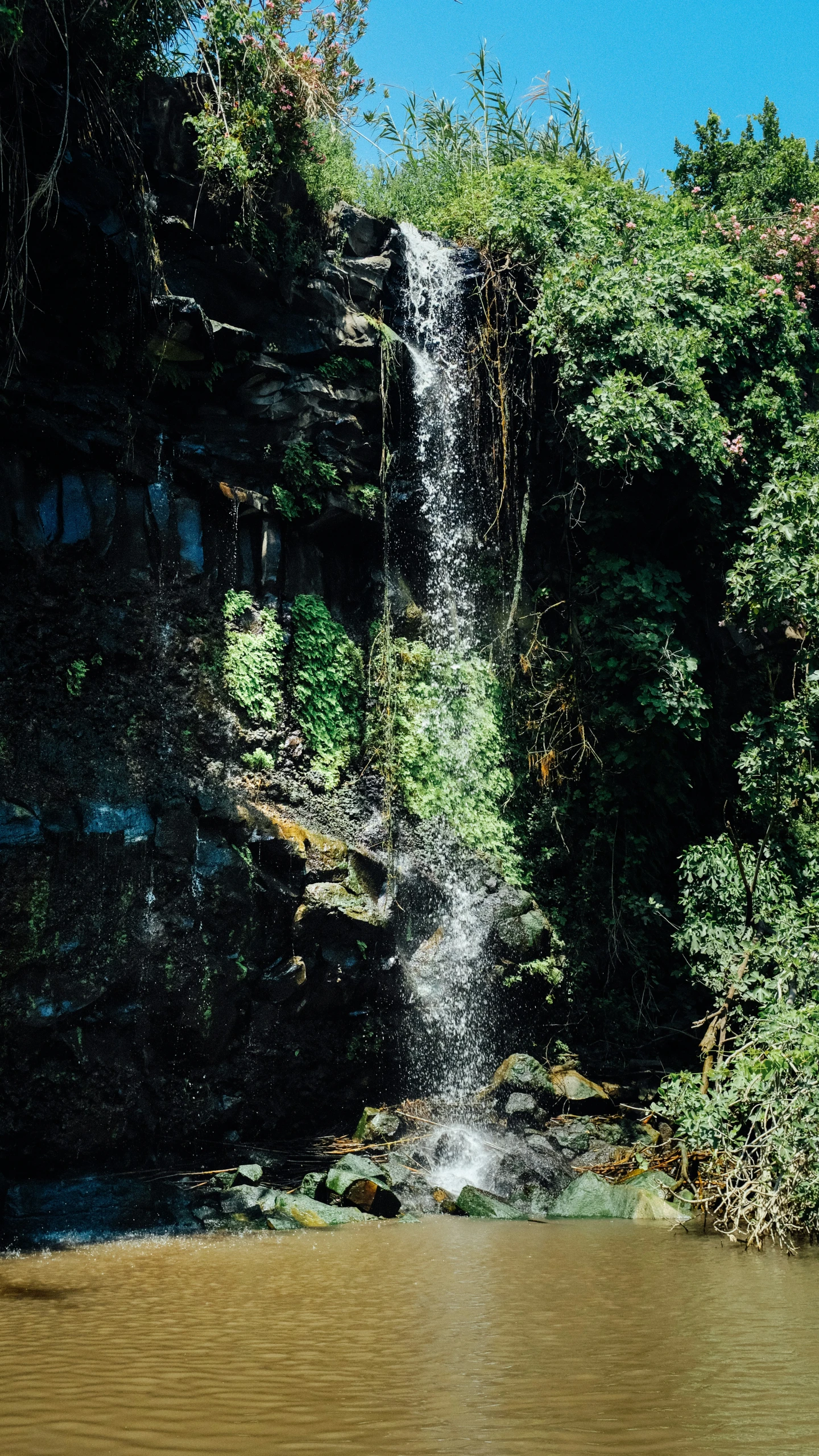 some waterfall that is covered in trees with water