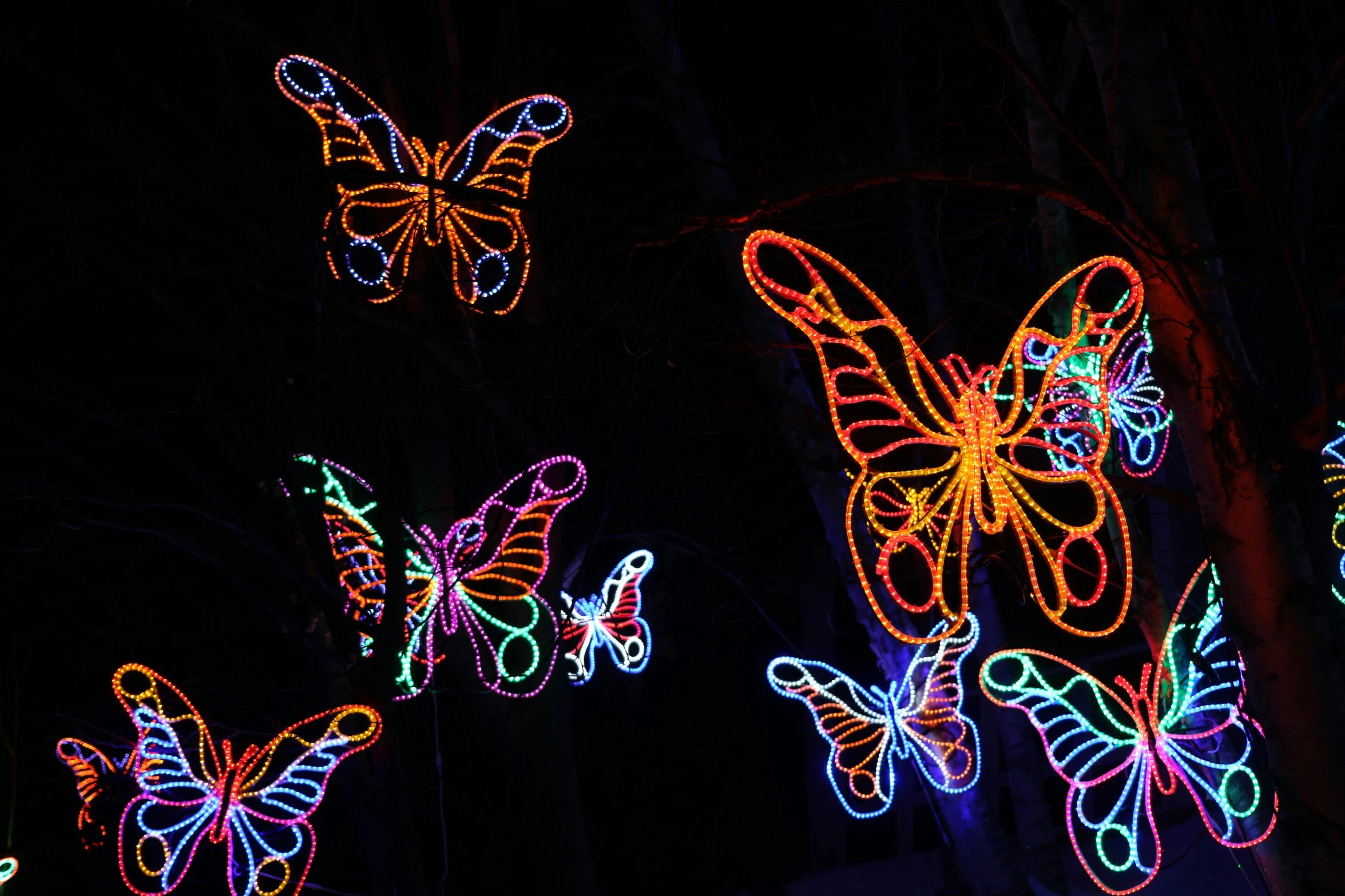 lighted erfly statues all in different colors