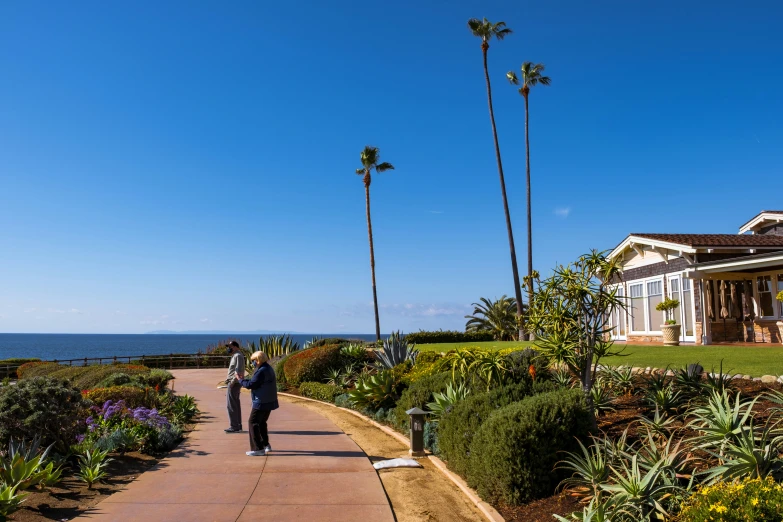 a man in blue shirt walking down a sidewalk next to palm trees