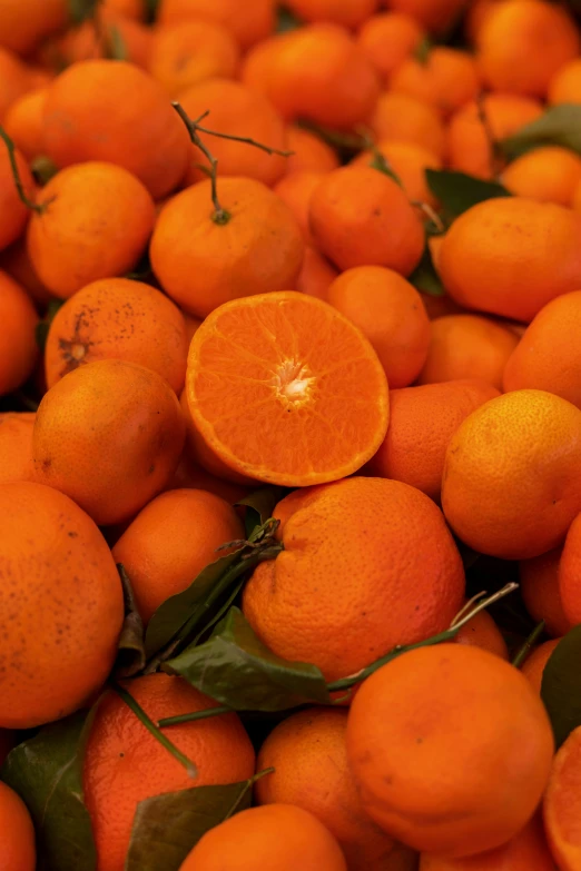 a bunch of oranges that are laying next to each other