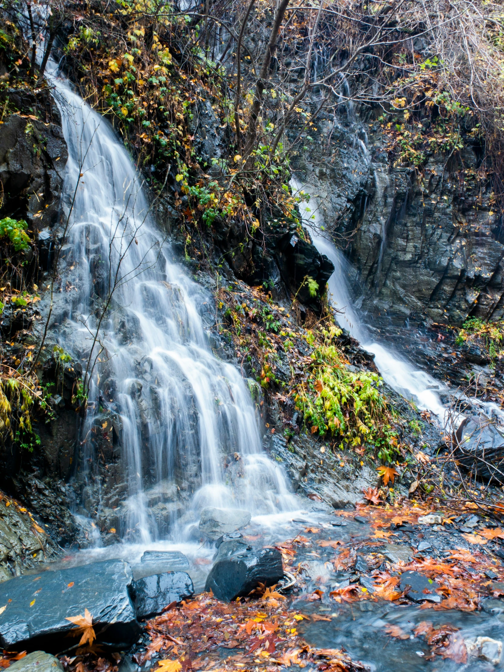 a very pretty waterfall with trees and some plants around