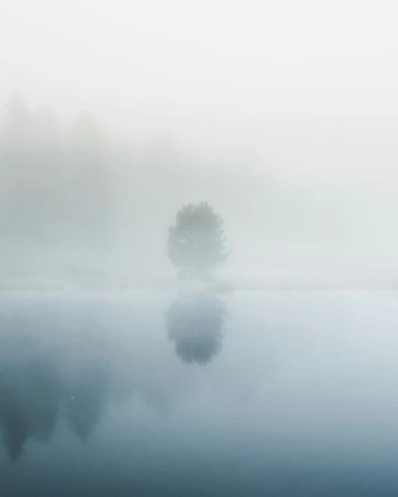 a view from the edge of a foggy lake with trees