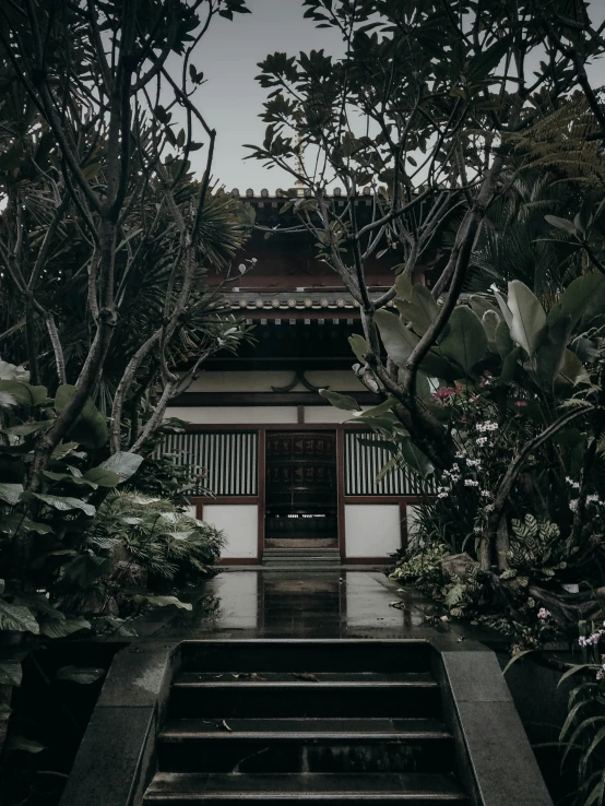 a stone stairway leading into a building surrounded by trees