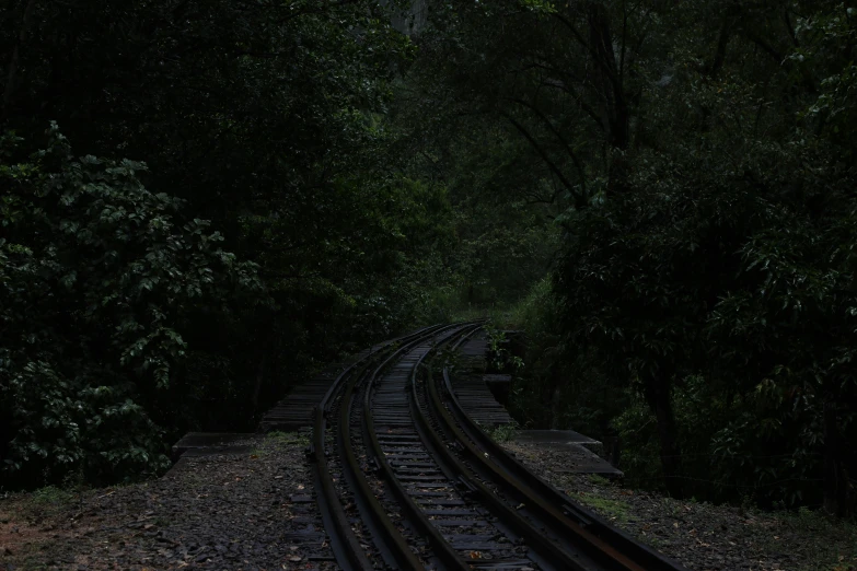 a dark train track stretches through a green forest