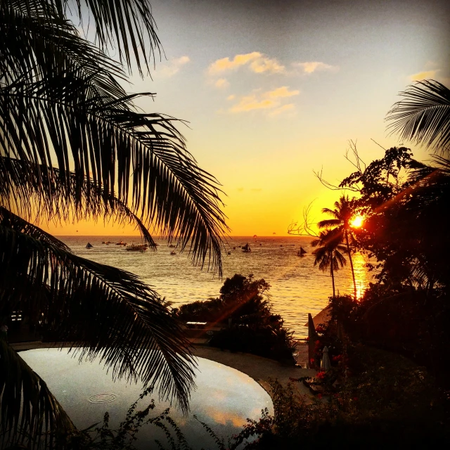 the sun rising over a body of water surrounded by jungle