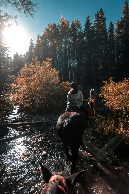 horses and riders crossing a river with sun flares in the background