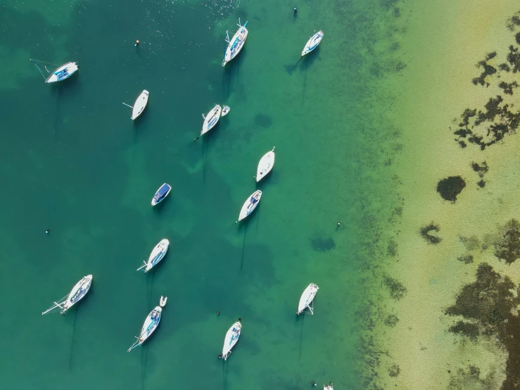 there are many boats that are floating in the water