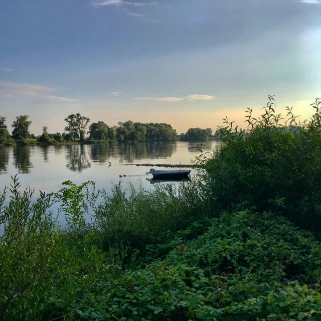 a white boat traveling down a river next to lush green trees