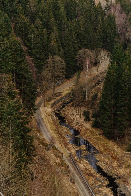 an unpaved road going through the woods next to a forest