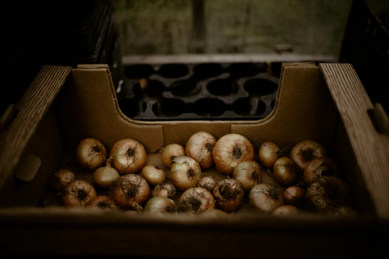 a bunch of onions in a box on a picnic table