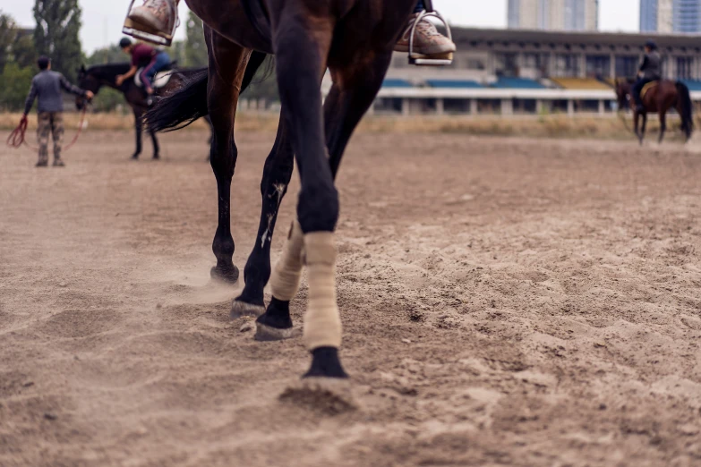 the back of two horses on a sandy road