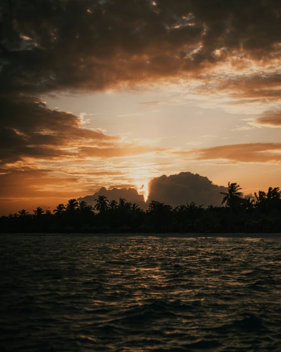 the sun is going down over some palm trees