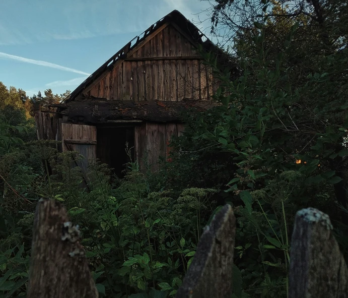 a wooden barn in the woods is being abandoned