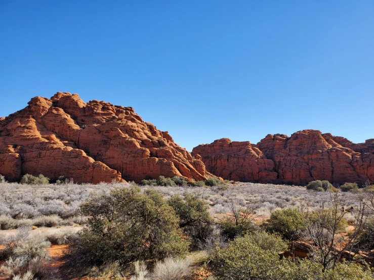 mountains in a desert are shown near plants