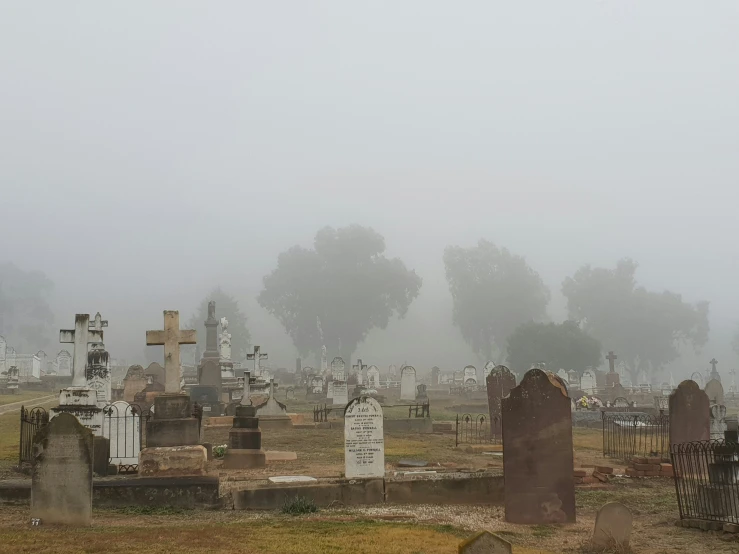 a foggy graveyard with tombstones and trees