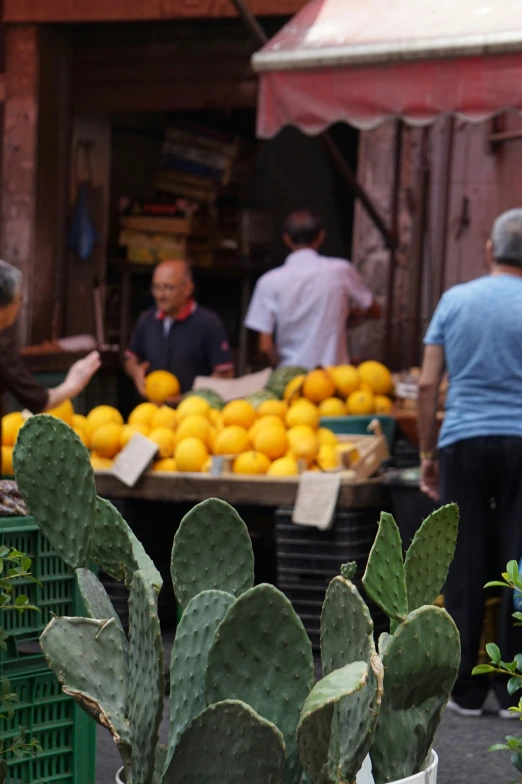 people shopping at a farmers market in the city