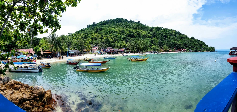 boats are lined up on a tropical beach