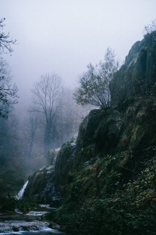 a stream running through a forested area with a waterfall