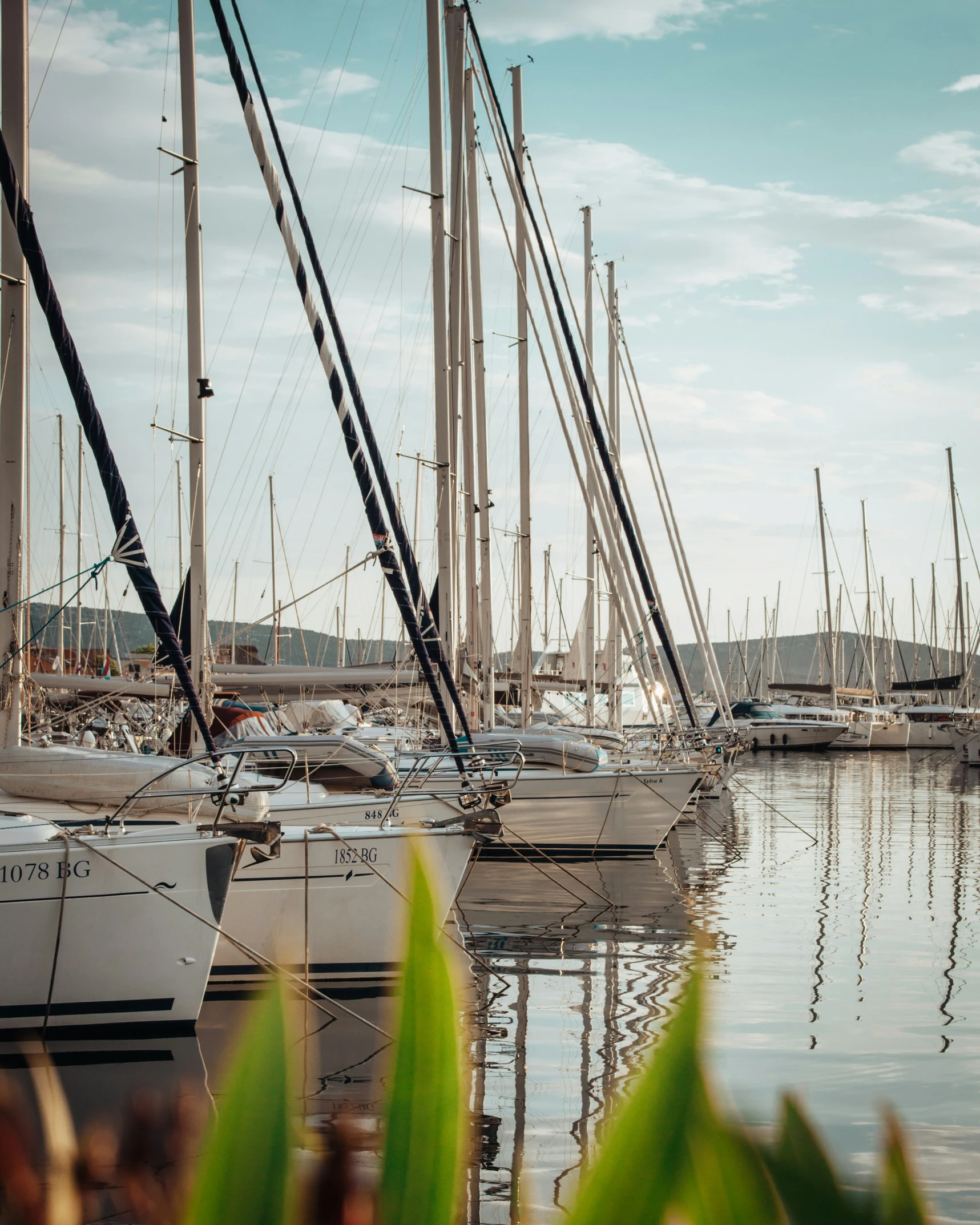 a bunch of boats sit at a harbor