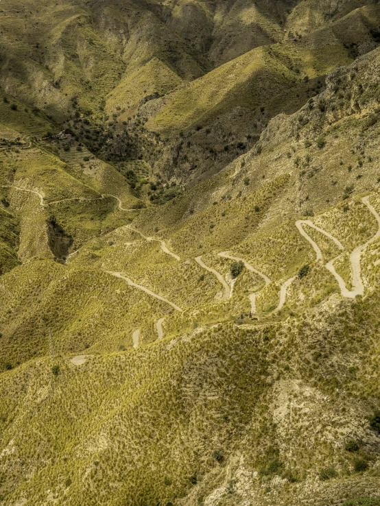 aerial view of winding terrain, mountains and trees