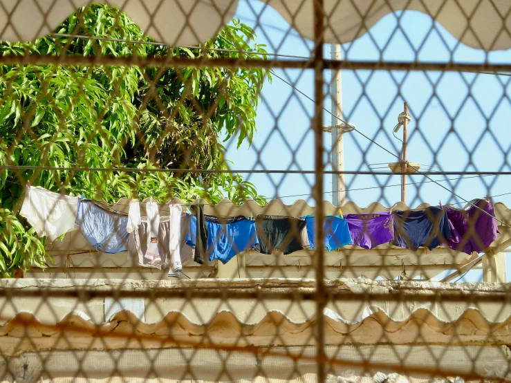 laundry hangs outside on the fence by the trees