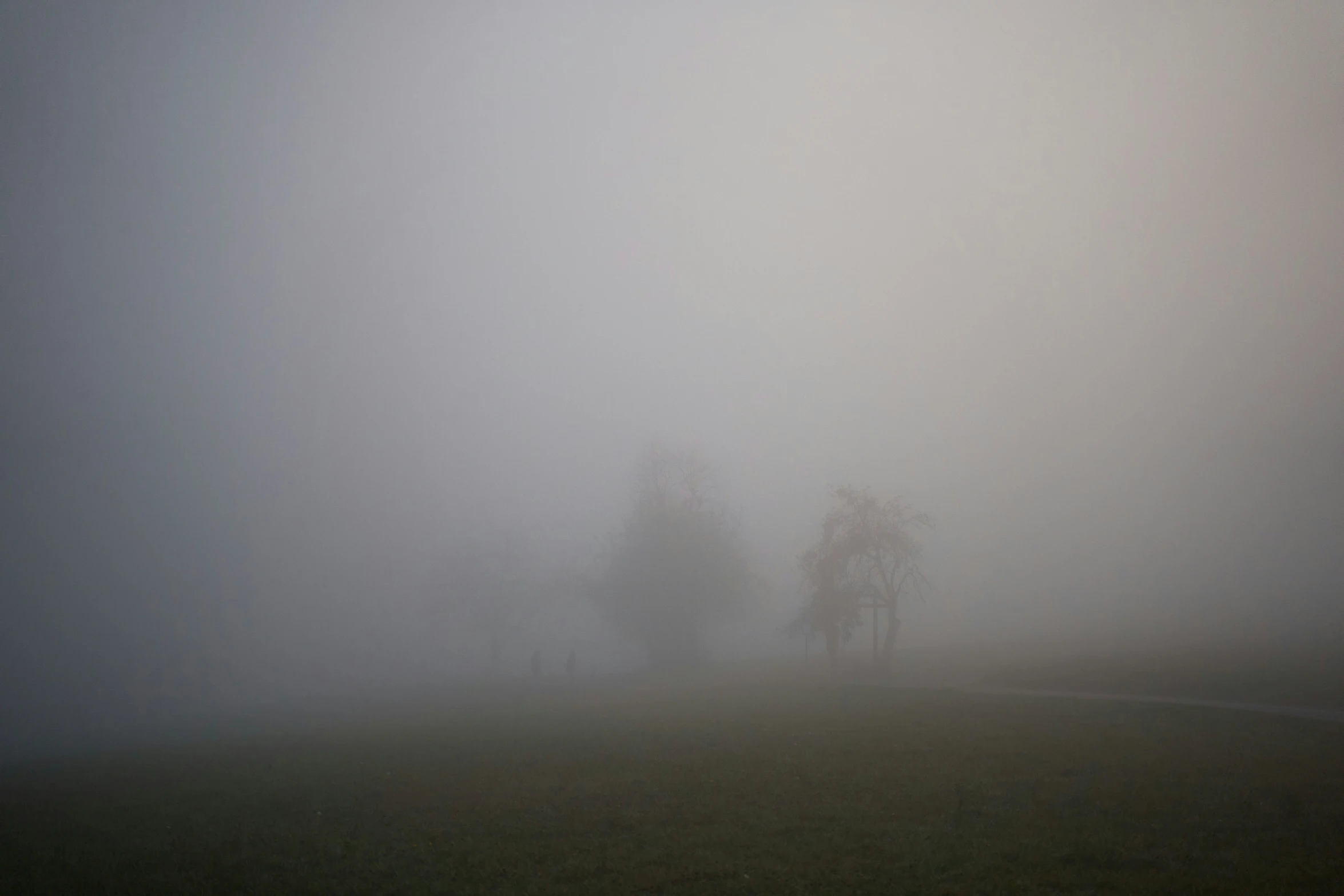 three people are standing in a field covered in fog