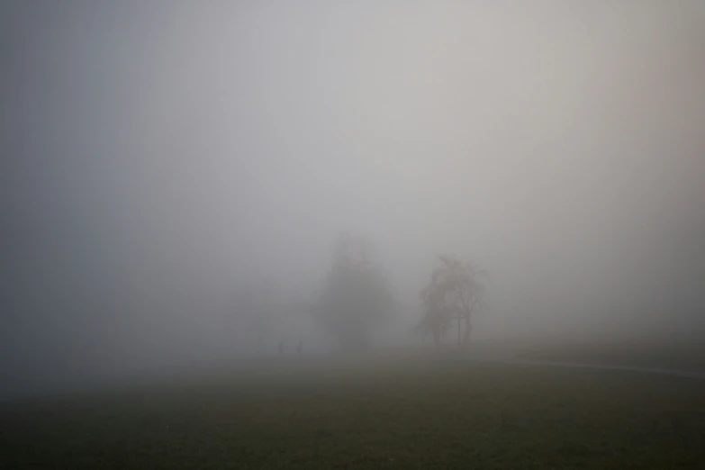 three people are standing in a field covered in fog