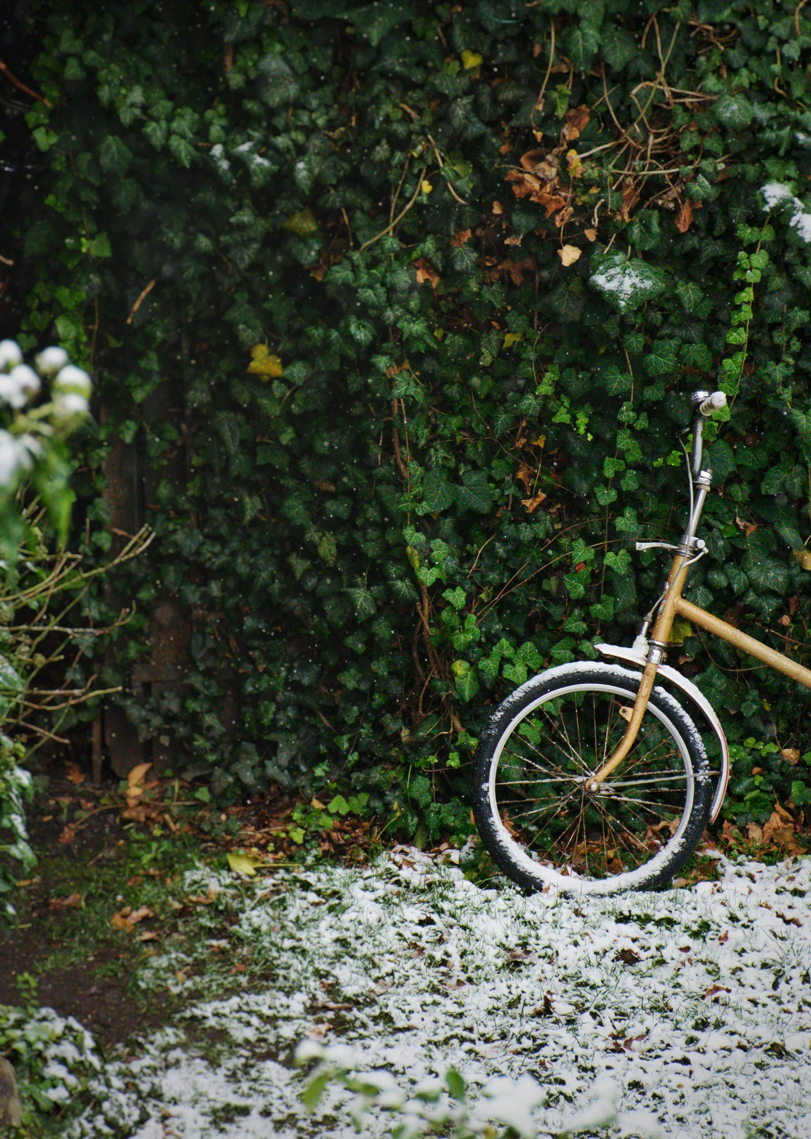 the bike is parked in the snow on the side of the road