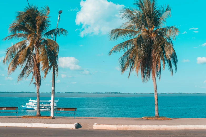 a person is sitting on a bench looking at the ocean