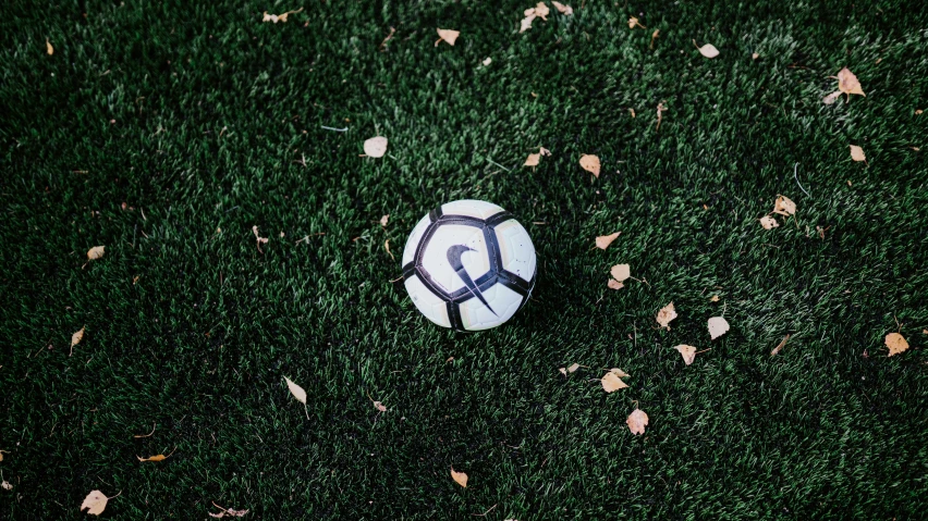 a soccer ball sitting on top of a field