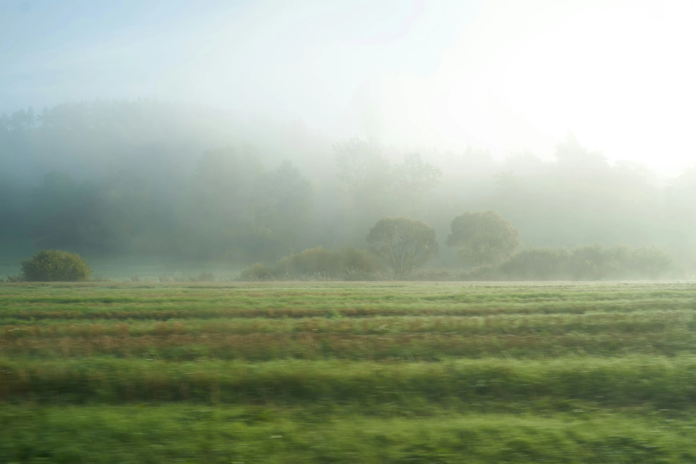 mist over grassy plain in distance on open day