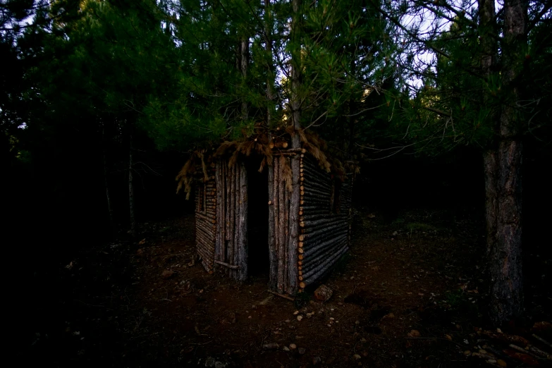 this is an old gate surrounded by trees