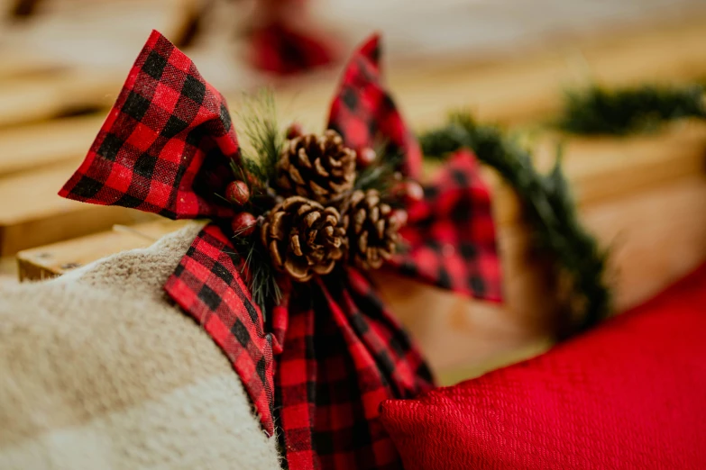 a close up of a pair of bows on a bench