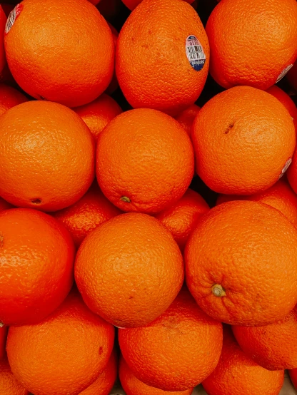 a huge pile of oranges sitting in a room