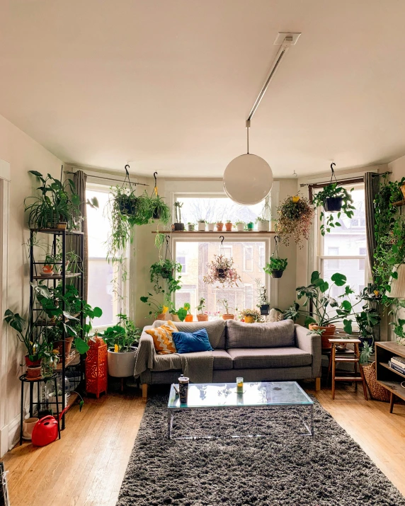 a living room with plants on the windows