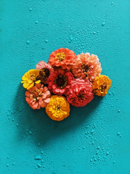 the top view of a bunch of flowers on a bright blue background