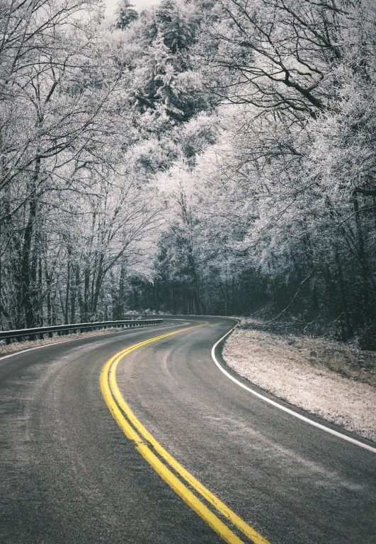 a curved road runs along an almost deserted roadside