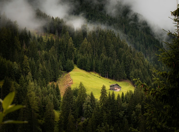 fog hangs over the green hillside with the house on top