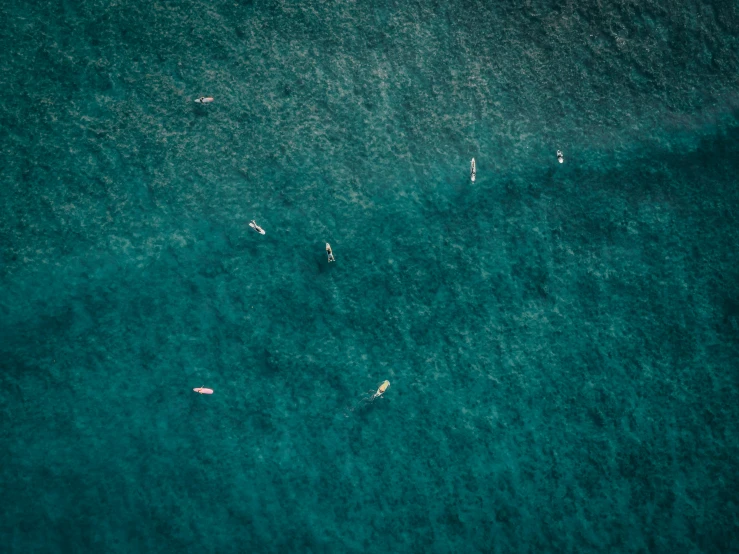 a group of people riding on surfboards in the ocean
