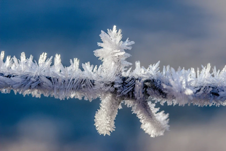 a bunch of snow is sitting on top of some kind of wire