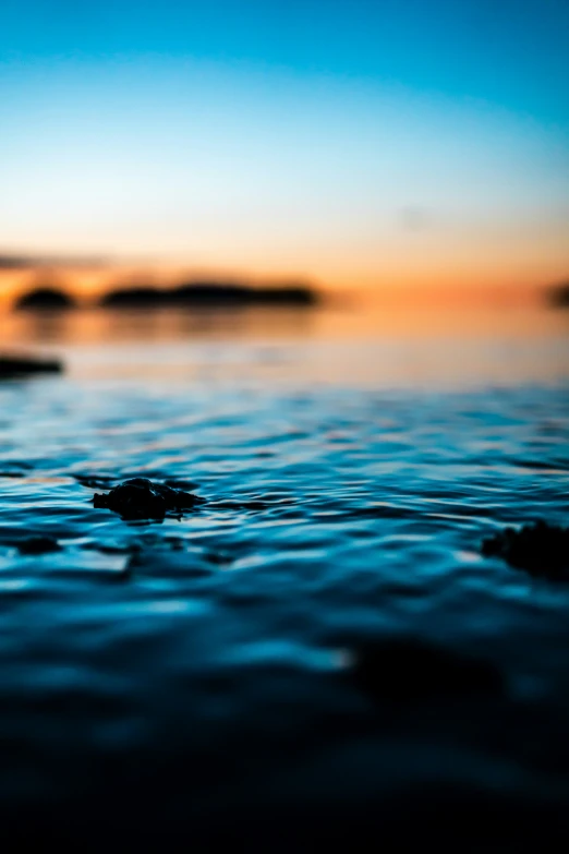 a small piece of luggage floating on top of a body of water