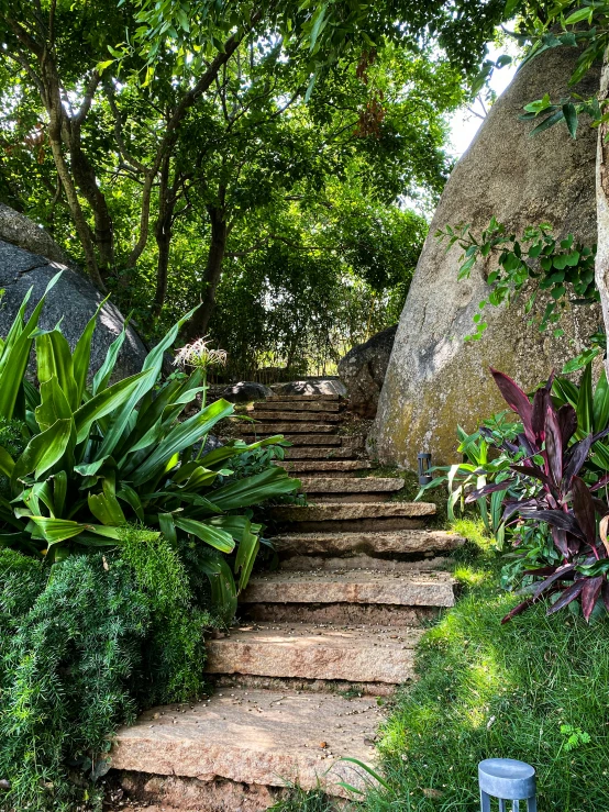 steps leading to lush green trees in front of large rocks