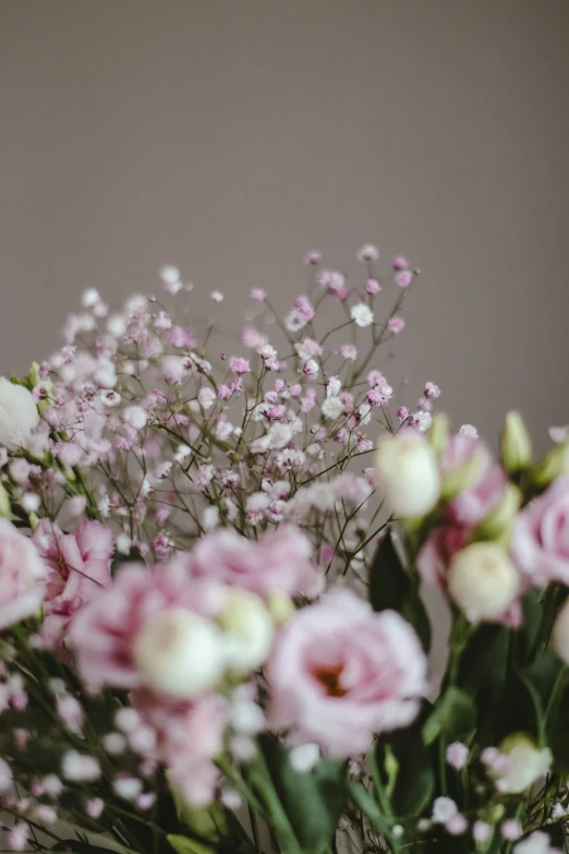pink and white flowers sitting in a vase