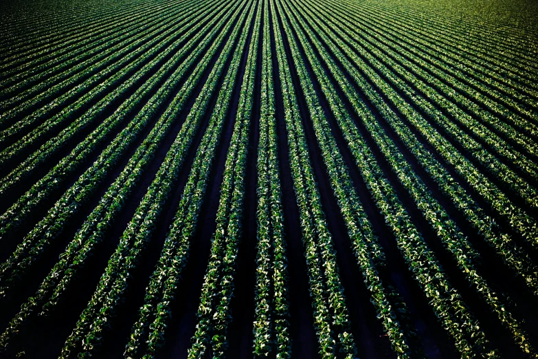 aerial view of an earth surface made from lines