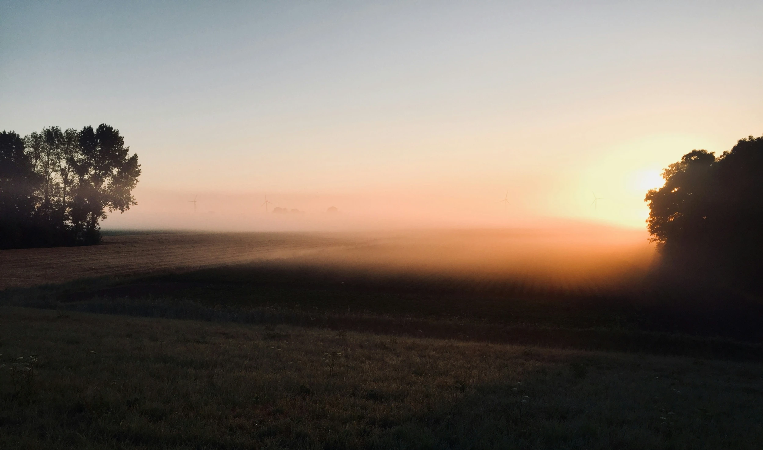 the sun setting in a field of grass