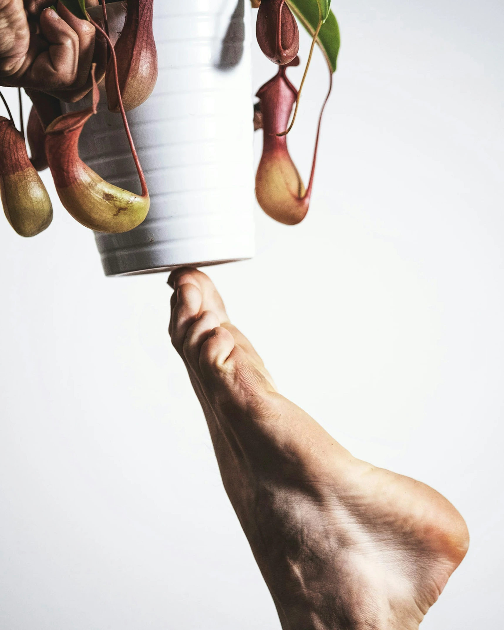 someone is lifting the bottom of the vase in order to collect fresh fruit