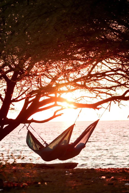 a person sitting in a hammock near the ocean