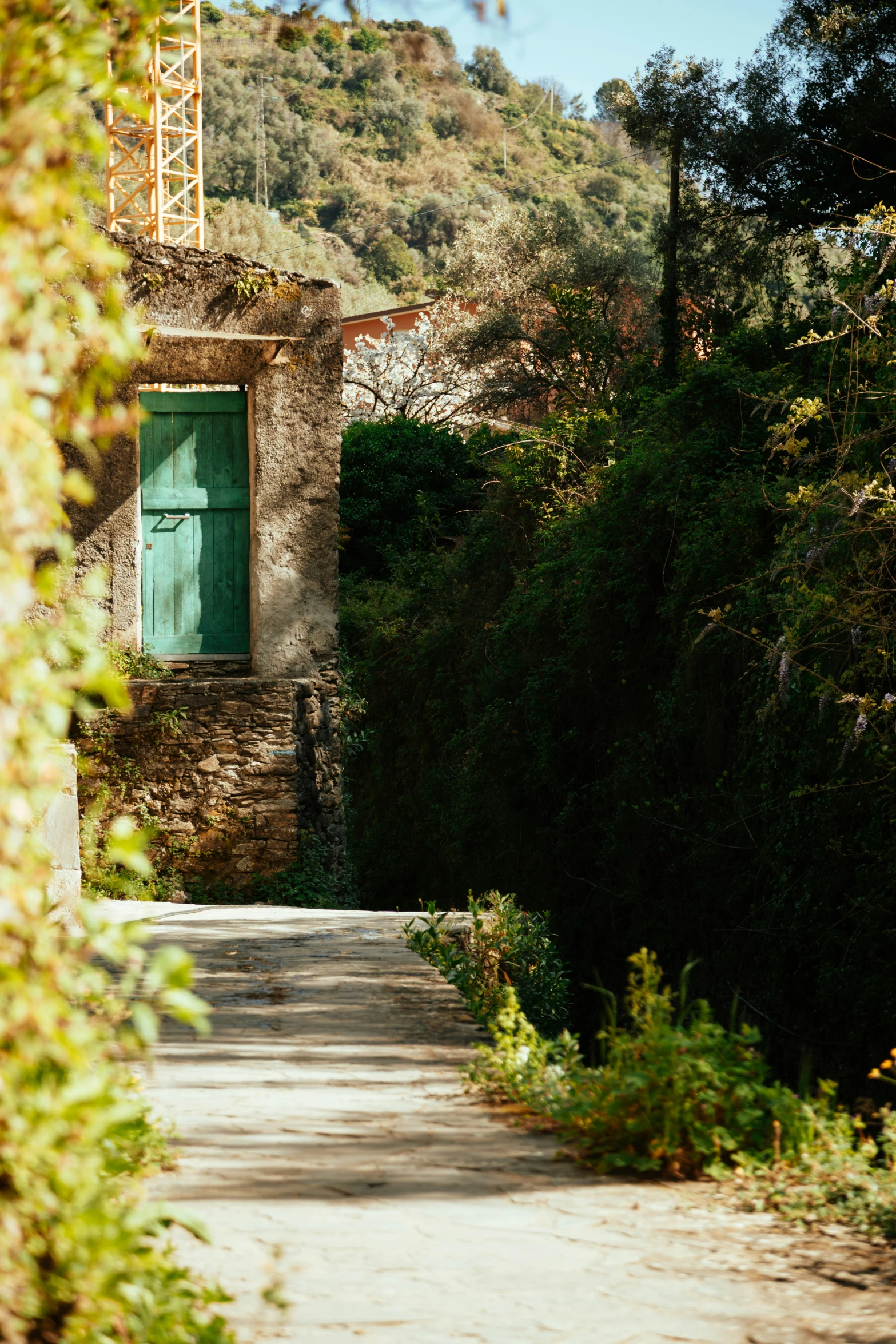 the old house in the forest is located