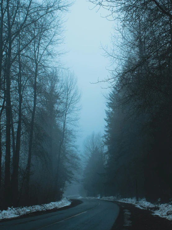 the road is dimly covered by fog and snow